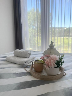 Apartman Borovi 14